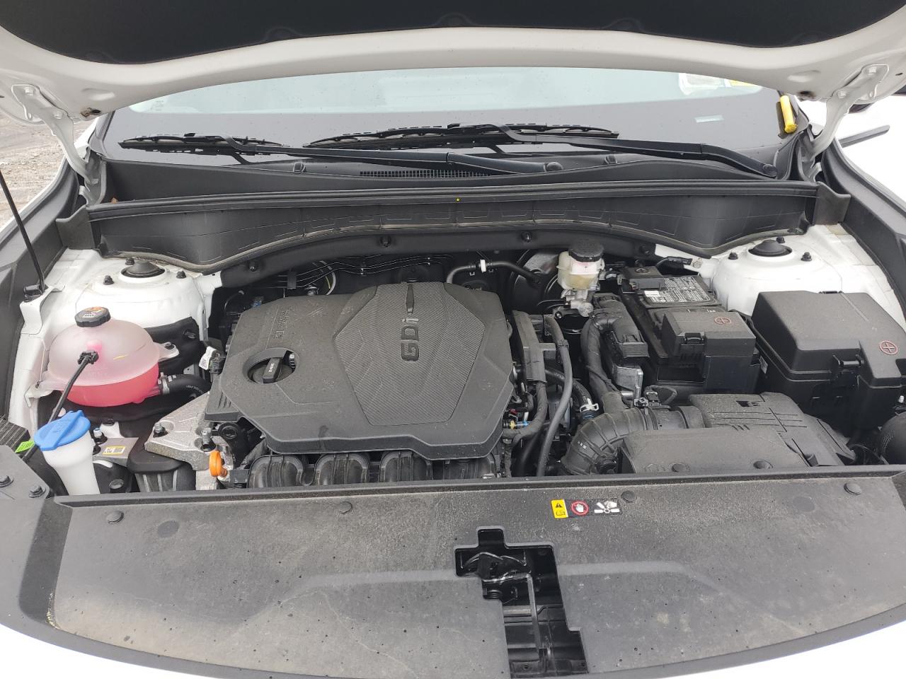 2022 KIA SORENTO S VIN:5XYRLDLC5NG144544