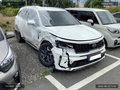 2020 Kia Sorento KNARH81GBMA020392 VIN:KNARH81GBMA020392