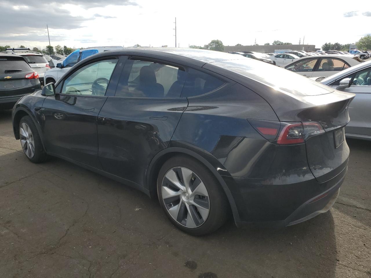 2023 TESLA MODEL Y  VIN:7SAYGDEE6PF622725