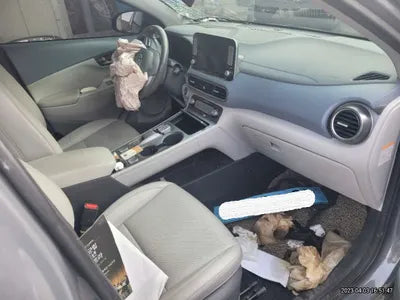 2019 Hyundai Kona KMHK381GFKU057313 VIN:KMHK381GFKU057313