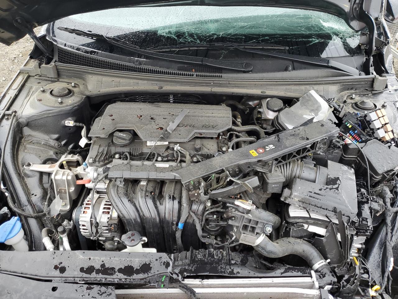 2023 HYUNDAI ELANTRA SEL VIN:5NPLM4AG0PH095340