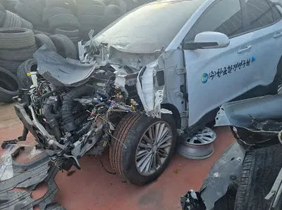 2019 Hyundai Kona KMHK3816GKU310946 VIN:KMHK3816GKU310946