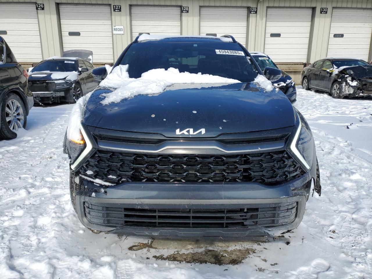 2024 KIA SPORTAGE X LINE VIN:5XYK6CDFXRG200284