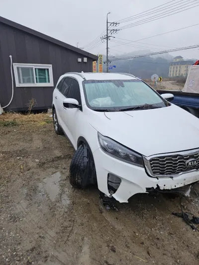 2019 Kia Sorento KNAPH811DLA630874 VIN:KNAPH811DLA630874