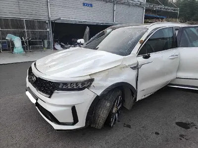 2021 Kia Sorento KNARF81FGMA070589 VIN:KNARF81FGMA070589