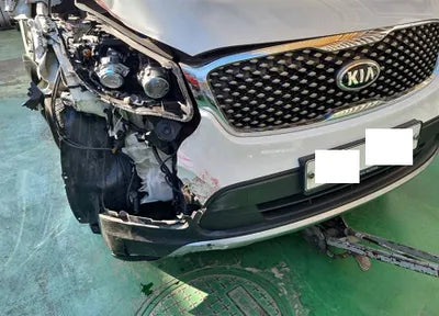 2016 Kia Sorento KNAPG81ABGA141824 VIN:KNAPG81ABGA141824