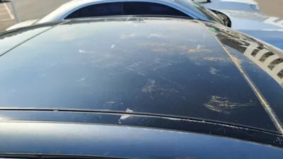 2019 Mercedes-Benz E 300 WDDZF4KB7KA585304 VIN:WDDZF4KB7KA585304