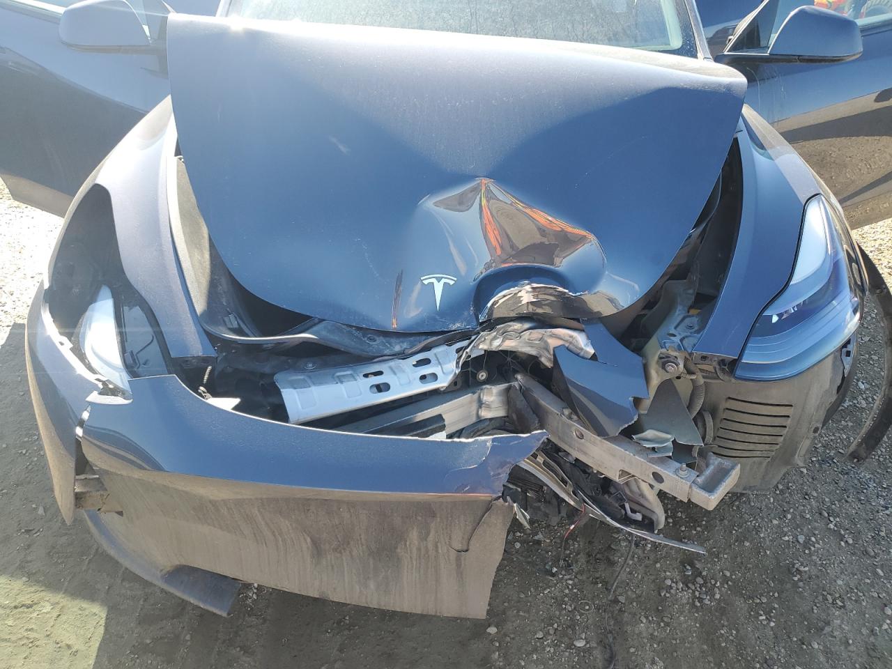 2023 TESLA MODEL Y  VIN:LRWYGDEE9PC266164