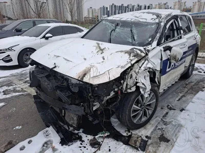 2020 Hyundai Santa FE KMHS281BBLU239686 VIN:KMHS281BBLU239686