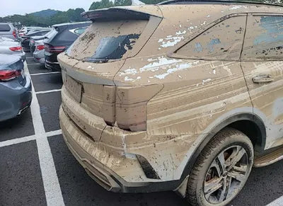 2022 Kia Sorento KNARH81GBNA064779 VIN:KNARH81GBNA064779