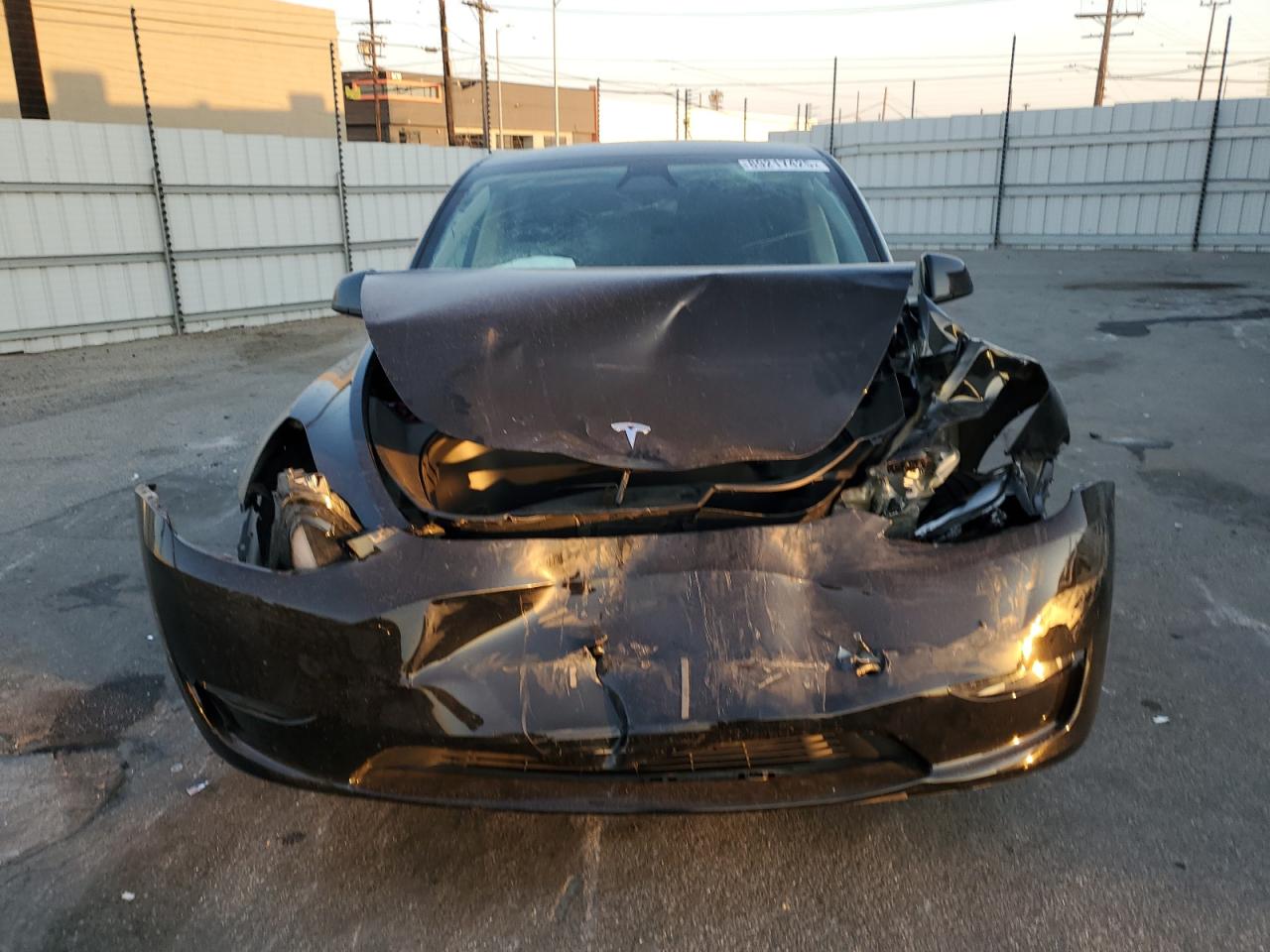 2024 TESLA MODEL Y  VIN:7SAYGDED1RF132087