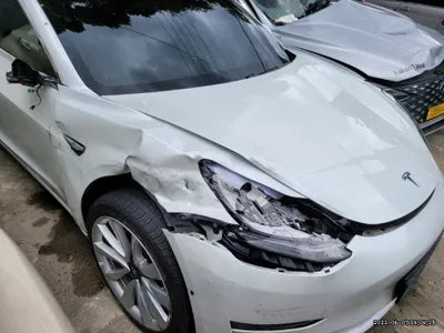 2020 Tesla Model 3 5YJ3E1EAXLF756513 VIN:5YJ3E1EAXLF756513