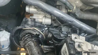 2022 Volkswagen Passat WVWZZZ3CZNE016023 VIN:WVWZZZ3CZNE016023