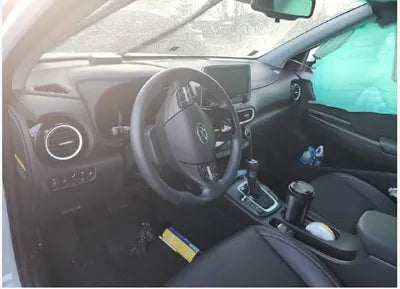 2020 Hyundai Kona KMHK381EGLU036622 VIN:KMHK381EGLU036622