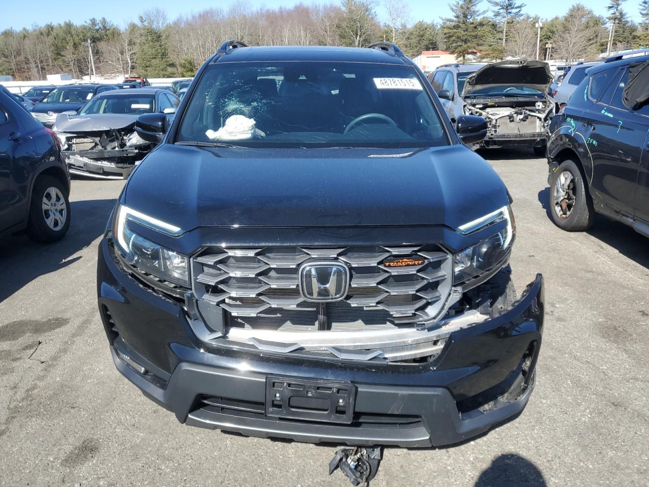 2023 HONDA PASSPORT TRAIL SPORT VIN:5FNYF8H65PB018465