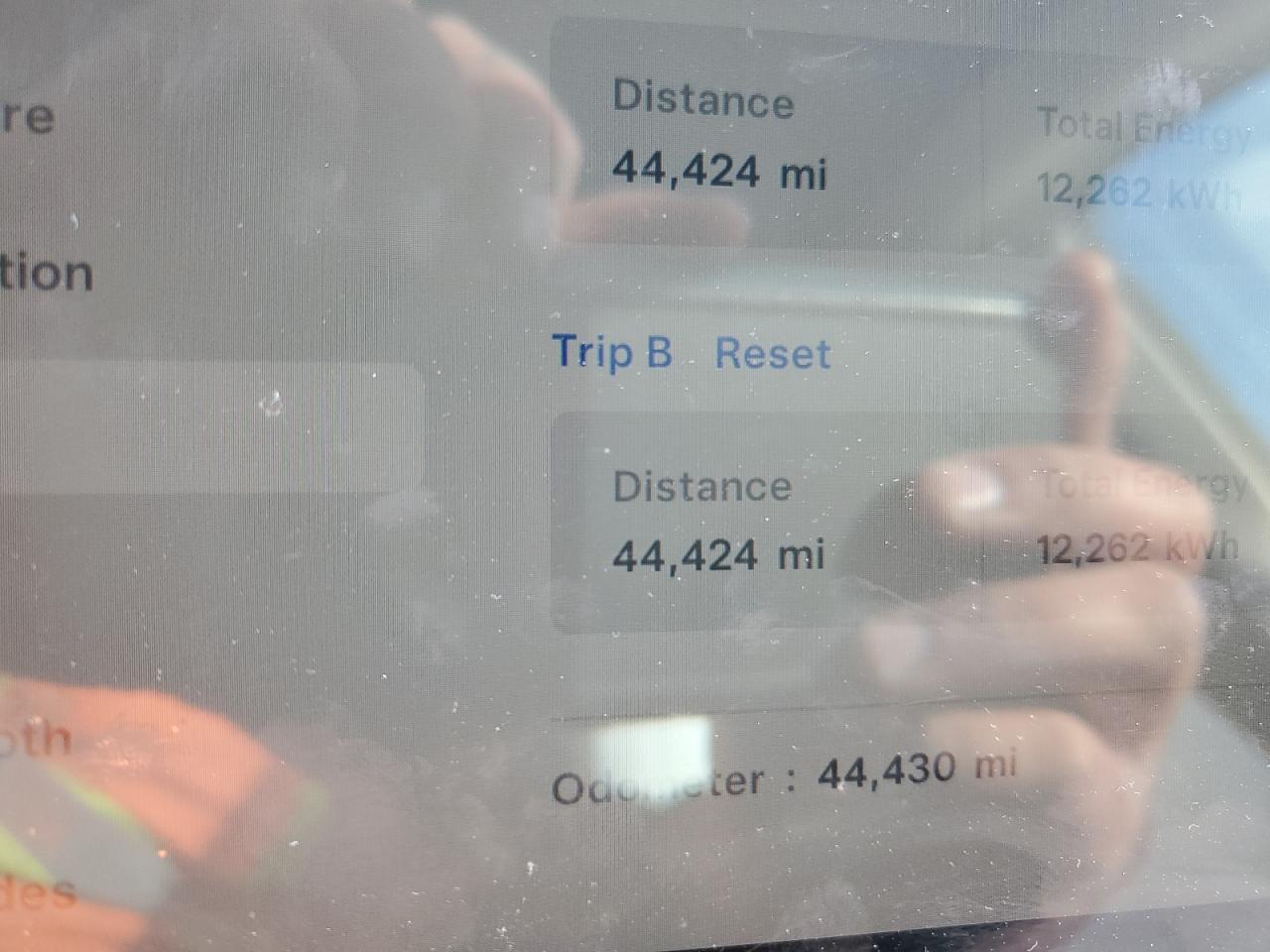 2023 TESLA MODEL Y  VIN:7SAYGDEE1PF638153