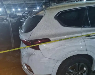 2019 Hyundai Santa FE KMHS581BBKU148626 VIN:KMHS581BBKU148626