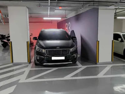 2018 Kia Carnival KNAME81ABKS495346 VIN:KNAME81ABKS495346