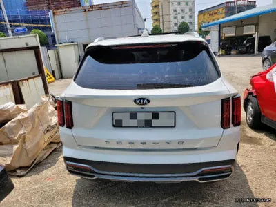 2020 Kia Sorento KNARG81BGMA006969 VIN:KNARG81BGMA006969
