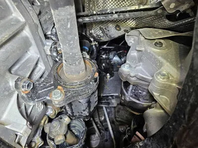 2020 Toyota RAV4 VIN: