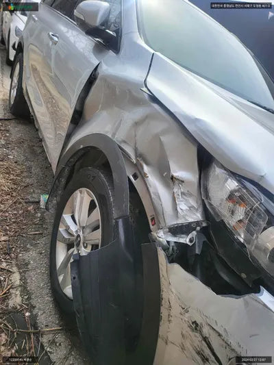 2017 Kia Sorento KNAPS81ABHA321675 VIN:KNAPS81ABHA321675