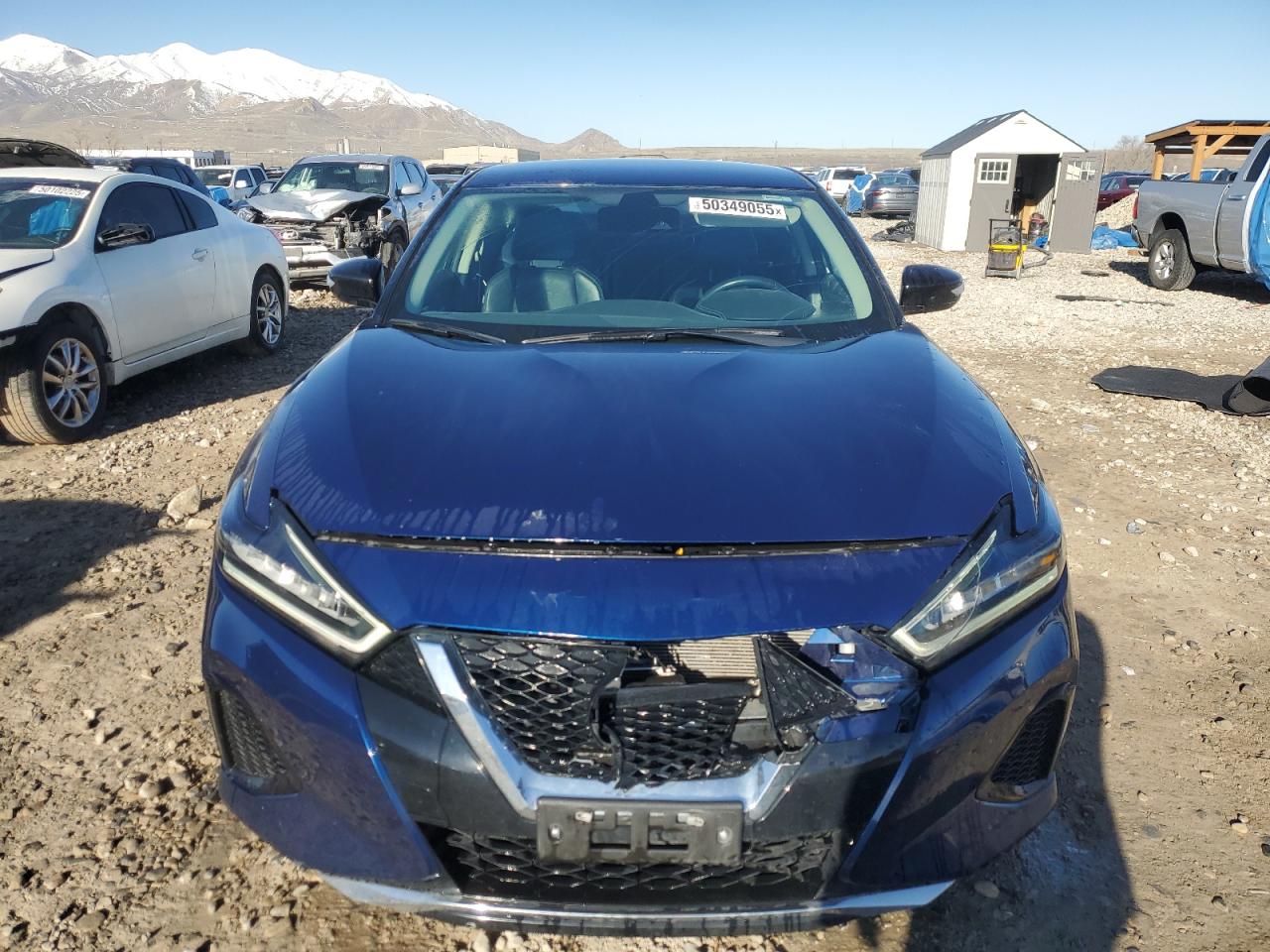 2022 NISSAN MAXIMA SV VIN:1N4AA6CV3NC503013