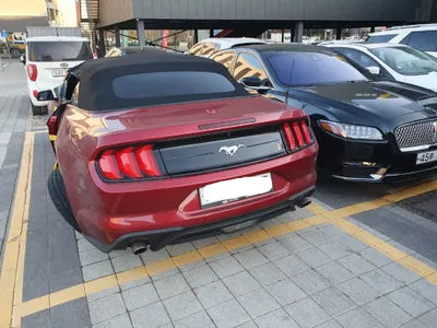 2019 Ford Mustang 1FATP8UH3K5196891 VIN:1FATP8UH3K5196891