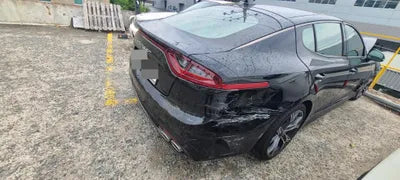 2020 Kia Stinger KNAE351ABLS079865 VIN:KNAE351ABLS079865