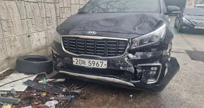 2019 Kia Carnival KNAME81ABKS499930 VIN:KNAME81ABKS499930