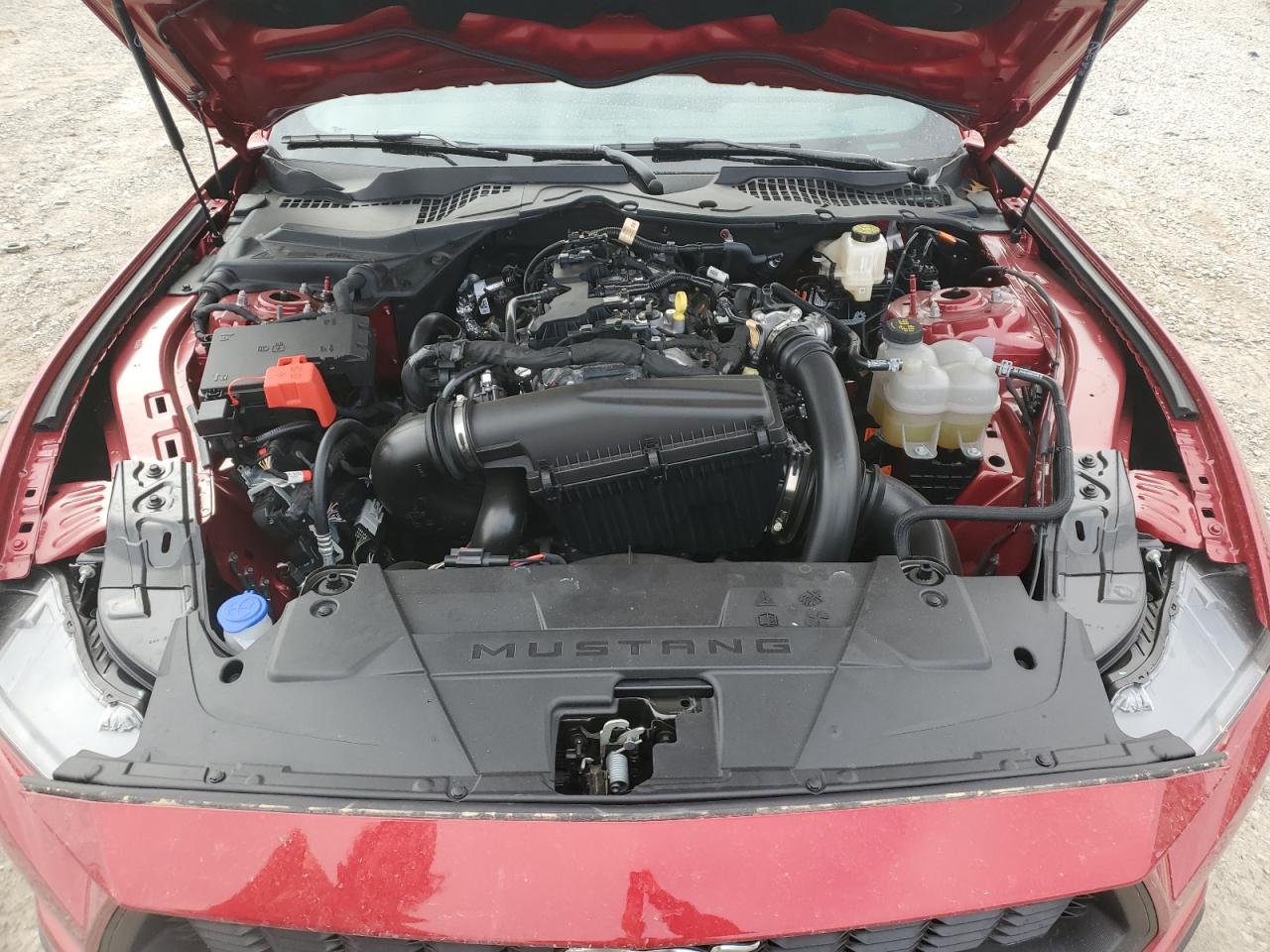2024 FORD MUSTANG  VIN:1FA6P8TH2R5118823