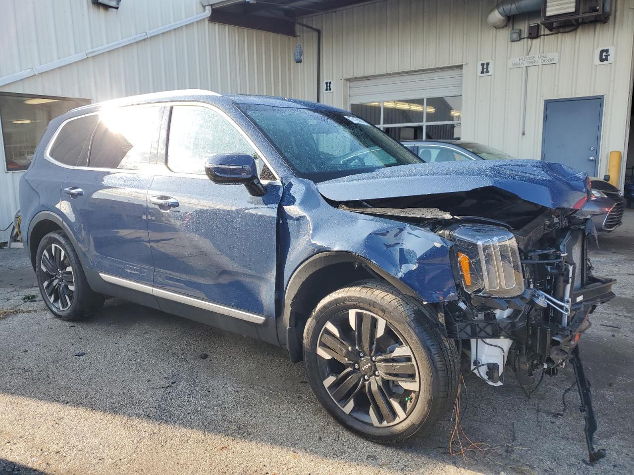 2024 KIA TELLURIDE SX VIN:5XYP5DGC7RG438657