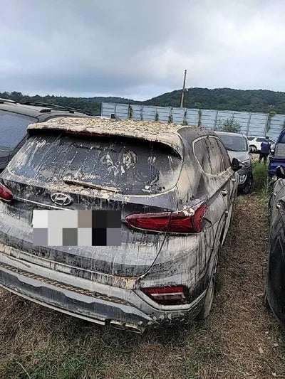 2019 Hyundai Santa FE KMHS281BBKU181827 VIN:KMHS281BBKU181827