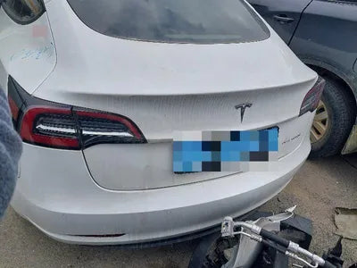 2021 Tesla Model 3 5YJ3E1EBXMF025672 VIN:5YJ3E1EBXMF025672