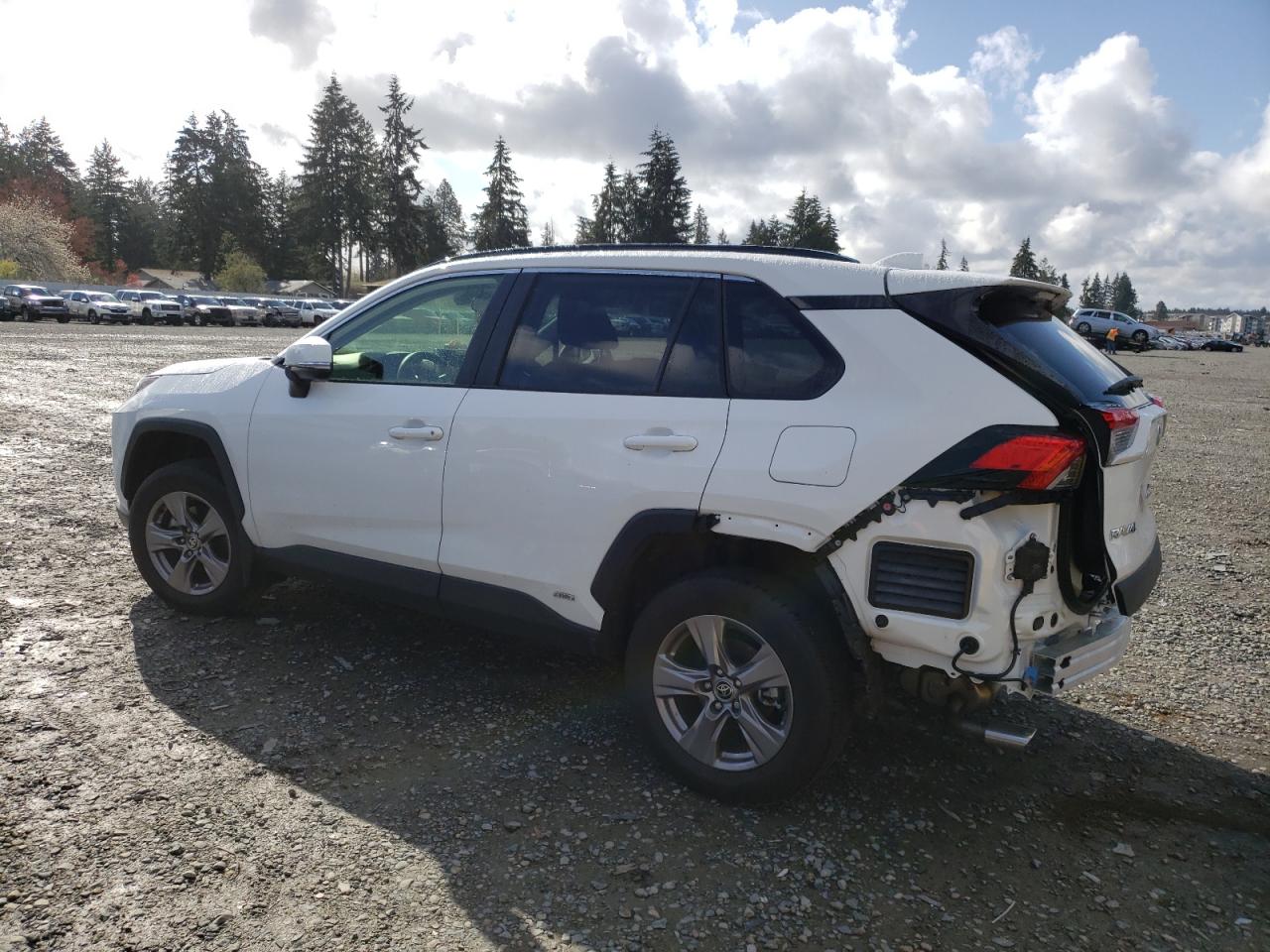2024 TOYOTA RAV4 XLE VIN:JTMRWRFV8RD224765