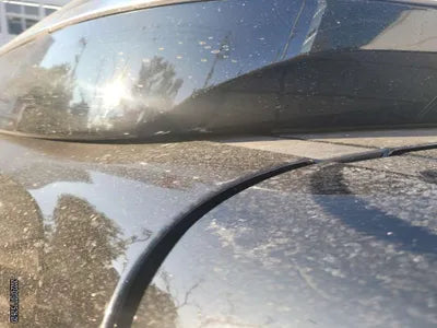 2021 Kia Carnival KNANE813BMS089557 VIN:KNANE813BMS089557