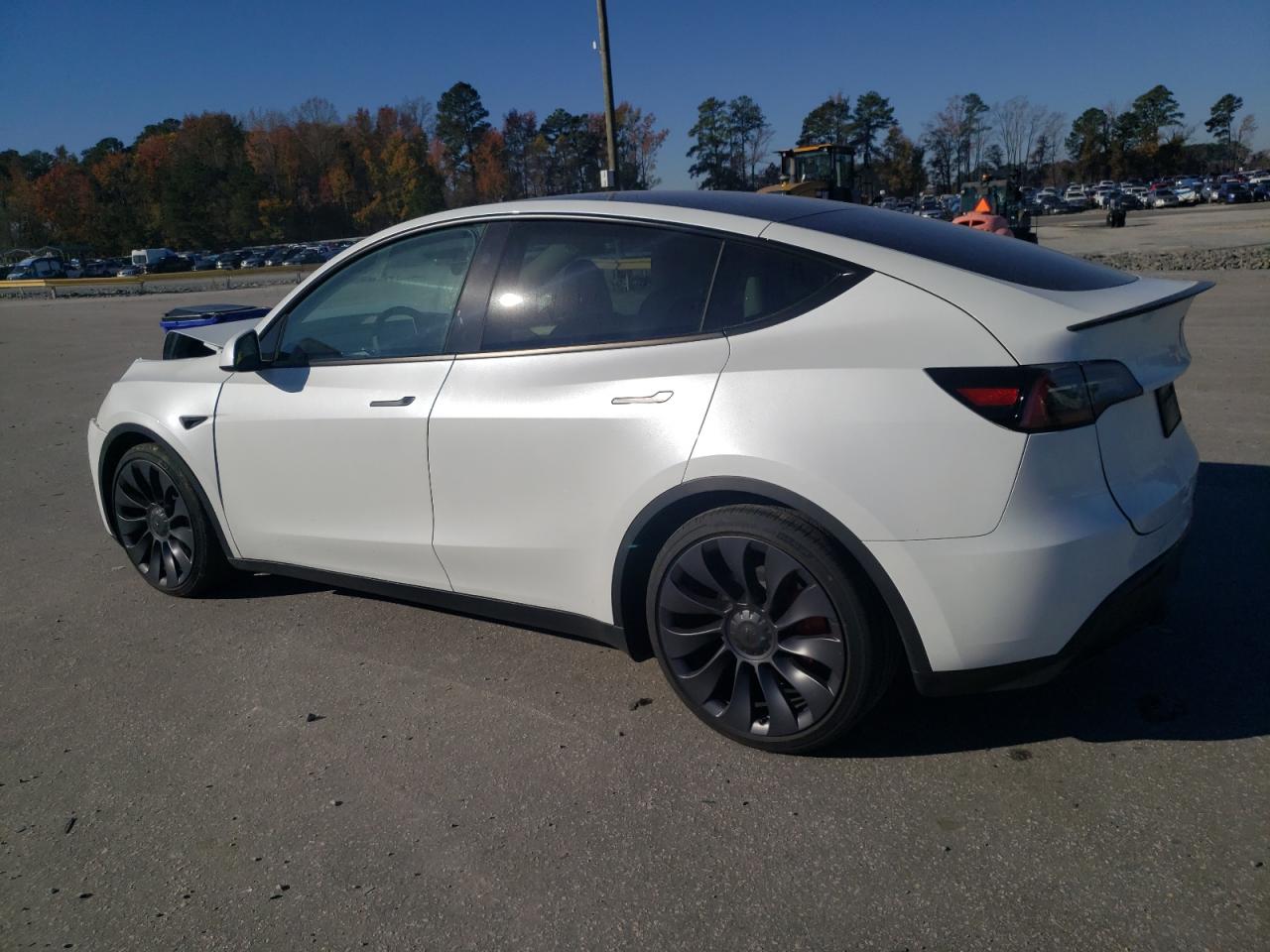 2024 TESLA MODEL Y  VIN:7SAYGDEF8RA286391