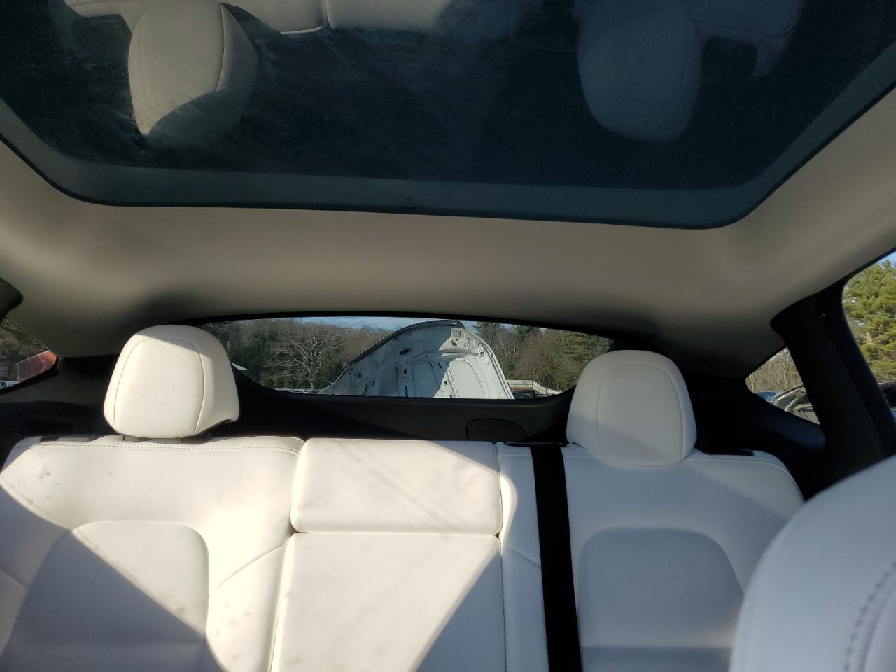 2023 TESLA MODEL Y  VIN:7SAYGDEE6PF884129