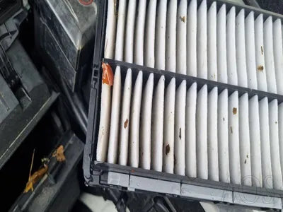 2022 Kia Carnival KNANC81BBNS142872 VIN:KNANC81BBNS142872