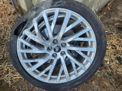 2021 Audi 50 WAUZZZF88MN005564 VIN:WAUZZZF88MN005564