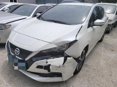 2019 Nissan Leaf VIN:
