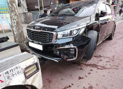 2019 Kia Carnival KNAMB81ABKS567583 VIN:KNAMB81ABKS567583