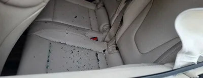 2022 Mercedes-Benz V 300 KL90F4ABDNZDLD001 VIN:KL90F4ABDNZDLD001