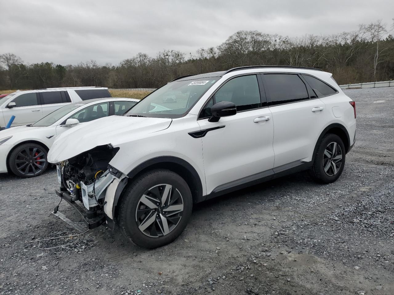 2023 KIA SORENTO S VIN:5XYRL4LC6PG206584