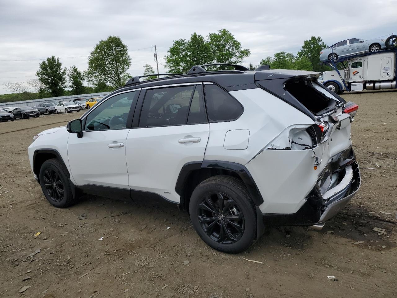 2024 TOYOTA RAV4 XSE VIN:4T3E6RFV7RU152247