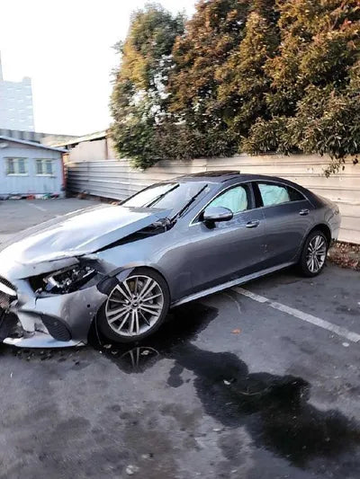 2019 Mercedes-Benz CLS 400 WDD2J2DB6KA010421 VIN:WDD2J2DB6KA010421