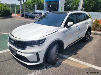 2021 Kia Sorento KNARK81GBMA031286 VIN:KNARK81GBMA031286