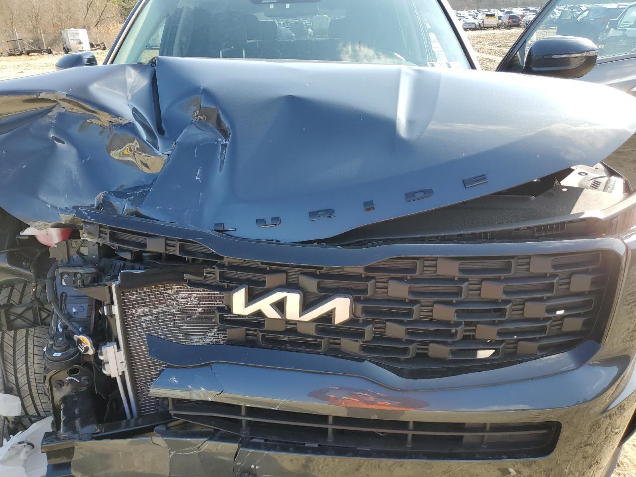 2022 KIA TELLURIDE EX VIN:5XYP3DHCXNG307026