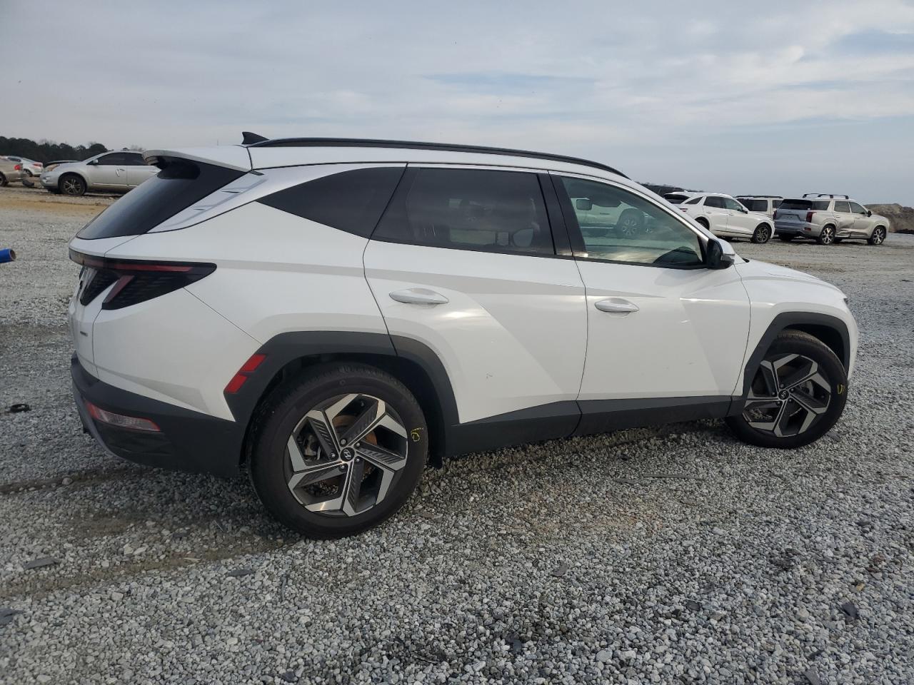 2024 HYUNDAI TUCSON LIMITED VIN:5NMJECDE1RH412096