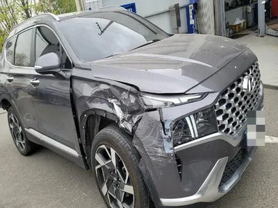 2021 Hyundai Santa FE KMHS581HGMU344900 VIN:KMHS581HGMU344900