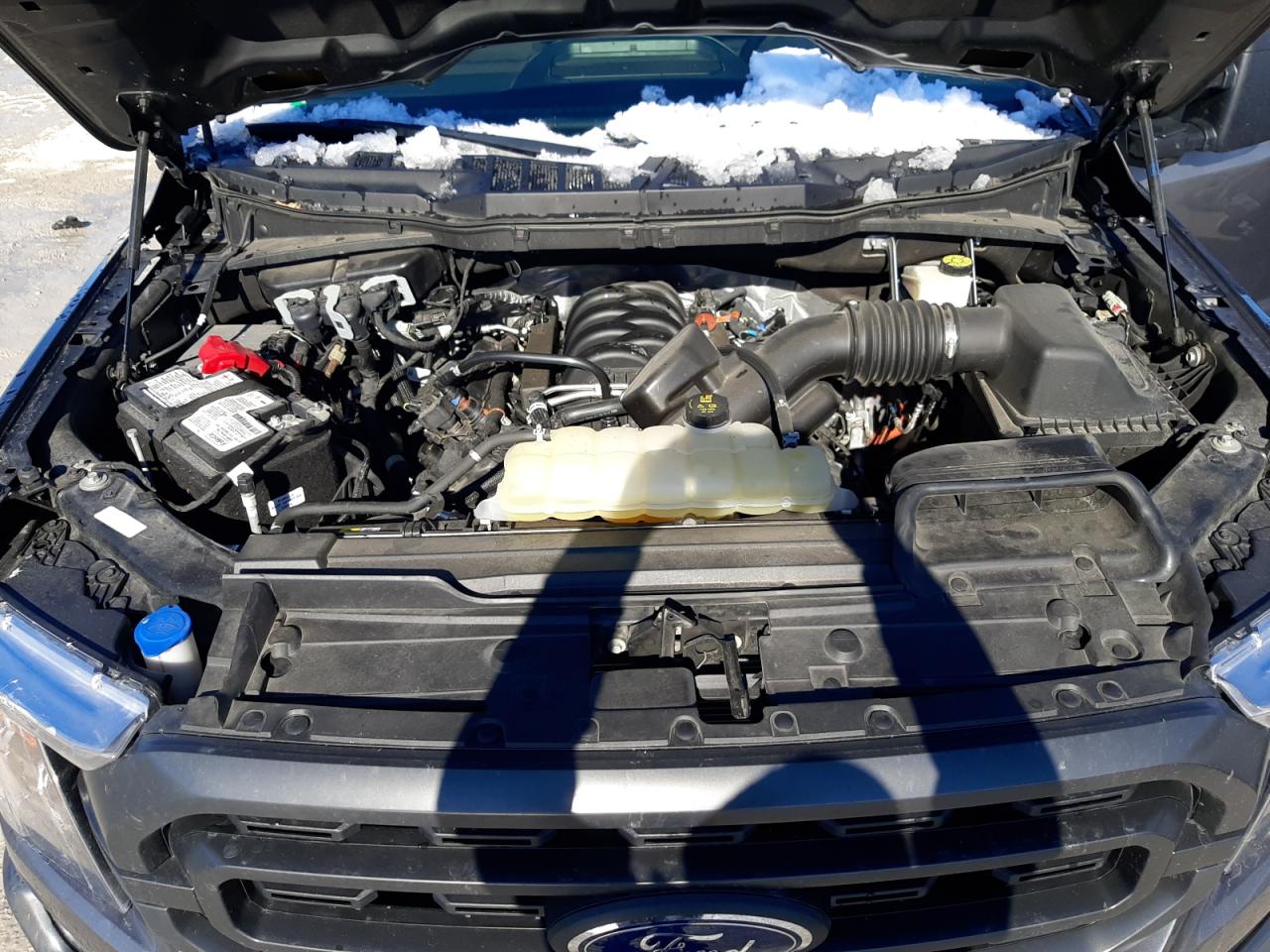 2022 FORD F150 SUPERCREW VIN:1FTFW1E51NFC09089
